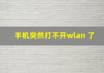 手机突然打不开wlan 了